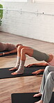 Learning, yoga and bridge with women in studio for fitness, workout and health. Exercise instructor, posture balance and wellness with group of people in class for commitment, pilates and club