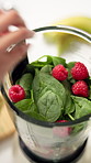 Raspberry, smoothie and blender with hands in kitchen for detox, nutrition and vitamins. Fruits, balance diet and protein shake with above of person in home for wellness drink, digestion and minerals