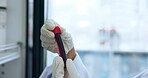 Test tube, medical or hand in clinic with blood, biology or dna investigation for pharmaceutical study. Research, innovation or scientist in lab with gloves, experiment or analysis in fluid exam.