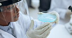 Petri dish, research and medical with woman in lab for microbiology, bacteria and pathogen study. Science, microorganism solution and analysis with person in clinic for pharmacy and vaccine cure