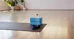 Yoga, equipment and dumbbells with water in studio for fitness, workout and health routine. Empty room, beverage and mat with weights for exercise, physical activity or foam blocks in wellness center