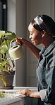Decor, growth and watering plants with black woman in home for chores or housework routine. Care, gardening and sustainability with happy African person in apartment for botany or horticulture 