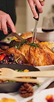 Chicken, hands of person in house with cutting, preparation or celebration buffet in Christmas roast. Thanksgiving, food or host at home with vegetables, festive dish or meat carving at holiday table