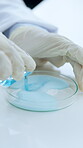 Hands, scientist and chemistry with petri dish in lab for healthcare, experiment and testing reaction. Gloves, salt or chemical observation of medical study, solution mixing and pharmaceutical sample
