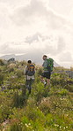 Back, couple and trekking on mountain for adventure date, tourist exploration and bonding together. People, hiking or walking in nature with backpack for connection, wellness or healthy relationship.