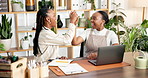 Laptop, black women and high five with success in office for celebration, botany and sustainable business. Eco friendly startup, retail management and profit with person for bookkeeping or stock