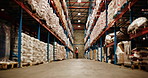 Shelf, storage and warehouse for distribution with worker, shipping and supply chain for export. Logistics, person and industrial cargo for inventory, stock and inspection for ecommerce in storehouse