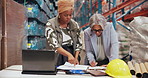 Supply chain, paperwork and women in warehouse, laptop and discussion with shipping schedule. People, computer and employees with cooperation, email and report for logistics, talking and distribution