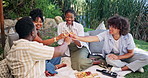 People, cheers or drinking wine outdoor with picnic, social gathering or charcuterie board for bonding. Happy friends, conversation and toast in nature with alcohol, summer vacation or snack platter.