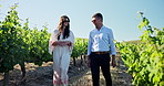 Vineyard, happy and people on farm talking for tourism, sustainable farming and agriculture outdoor. Countryside, grape vines and man with woman in nature for conversation, chat and wine process