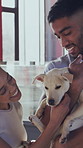 Animal shelter, happy and couple with dog for adoption, bonding and puppy choice for foster care. Sanctuary, rescue center and man with canine for petting, loyal companion and love at kennel 