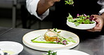 Food, presentation and chef with garnish, hands or culinary skills for meal prep, kitchen and order. Plating, cook and person with ingredients for cuisine, fine dining and hospitality in restaurant