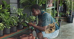Botany, shop and black man with water for plants with sustainability, natural or gardening. Quality assurance, ecology and African male botanist with inspection for greenery in garden center.