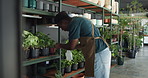 Florist, man and plants inspection with spray for healthy growth, hydration or nutrients in shop. Sustainable small business, black person or water for leaves maintenance, natural development or care