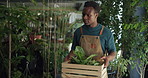 Nursery, plants and black man with box in store for environment, greenhouse and gardening. Inventory, small business and person with pots, leaves and basket for growth, planting and sustainability