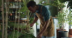 Botanist, man and water plants at store with can, care or hydration for growth at sustainable startup. African person, florist and entrepreneur with liquid, quality assurance and eco friendly shop