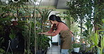 Plant, nursery and woman with inventory for quality control, stock check or inspection. Sustainability, small business and greenhouse with florist, startup manager and commercial garden for retail