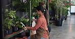 Nursery, watering and woman with pot plants on shelf for growth, sustainability and healthy leaves. Gardening, florist and person with spray bottle for planting, maintenance and ecology in business