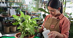 Florist, woman and water plants in shop for healthy growth, hydration and nutrients supply. Sustainable small business, employee and liquid bottle for leaves maintenance, natural development and care