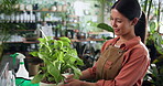 Florist, woman and smile with plant in shop for growth progress, grooming and maintenance. Sustainable startup, person and leaves inspection in nursery for healthy development, quality check and care