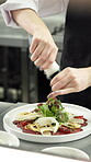 Chef, hands and salt in restaurant kitchen for food preparation, hospitality service and culinary skills. Person, seasoning meal and cuisine in diner for flavor, salad garnish and plate for catering.