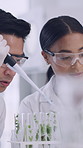 Pipette, plants and test tube with people in laboratory for pharmaceutical development or research. Dropper, reaction and science experiment with team at work for analysis of organic medicine