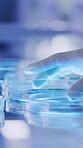 Medical, hands or person in lab with petri dish, biotechnology or bacteria test for vaccine development. Science, fluid exam or expert with sample plate, research or analysis in pharmaceutical study.