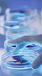 Medical, glass or hands in lab with petri dish, biotechnology or bacteria test for vaccine development. Fluid, examination or scientist with sample plate, research or analysis in pharmaceutical study
