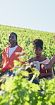 Farm, walking and people in vineyard for wine tasting, travel experience and tourism on holiday. Nature, outdoor and men and women in countryside for vacation, tour guide and winery information