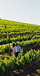 Nature, walking and aerial of couple in vineyard for wine tasting, holiday and tourism for harvest. Travel, talking and drone view of man and woman with bottle for vacation, bonding and countryside