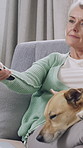 Old woman, watching tv and dog on couch, home and bonding with animal on break, chill or comfortable. Streaming, entertainment and relax with canine in lounge, senior person and affection for pet