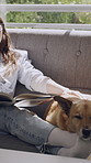 Reading, relax and woman with dog on sofa for bonding with entertainment, hobby and rest together. Home, happy and person with pet on couch for trust, love and relationship with book on weekend