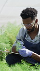 Plant, magnifying glass and man with tablet, vision or checking for pest damage, online and outdoor. Greenhouse, botanist and person with tech for data collection, agriculture and disease management