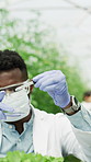 Man, scientist and pipette with plant sample for research, experiment and study growth. Male person, goggles  microscope for agriculture science, biotechnology and testing leaf for medical innovation