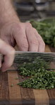 Cooking, kitchen and hands of person with chives for gourmet recipe, meal prep and culinary service. Hospitality, food and chef with ingredients for dinner, lunch or supper for catering business