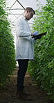 Scientist, writing and man with clipboard, plants and inspection for pest management in environment. Greenhouse, agronomist and person with checklist for data collection and notes for growth rate