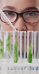 Plant, sample and science with woman in laboratory for medical development or research. Experiment, pipette and test tubes with biology scientist at work for cure, herbal medicine or testing