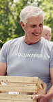 Volunteer, crate and man in park with donation, community service and distribution. Mature person, outreach and quality control with social responsibility, support and impact for NGO project charity