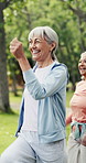Fitness, class or elderly woman in park with steps, aerobic exercise or workout in wellness hobby together. Happy, senior people or coach with bokeh, walking activity or group training in retirement.