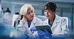 Microscope, talking and women on tablet in lab for teamwork, medical study and experiment results. Healthcare, mentor and scientists on tech for clinical trial, stem cell research and medicine review