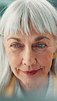 Fashion, reading or woman in agency with computer, industry research or clothing draft in creative process. Review, browse or mature designer with tech, style development or trend check for catalog.