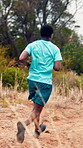 Fitness, man or trail running exercise on mountain for cardio workout, body conditioning or health. Runner, back of person or jog in nature for endurance challenge, sport performance or pace training