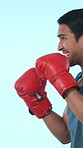 Boxing, sports and man in studio with gloves for training, exercise and workout for challenge. Fitness, practice and person with punch for competition, active hobby and strength on blue background