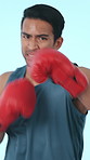 Boxing, sports and face of man in studio with gloves for training, exercise and workout for challenge. Fitness, portrait and person with punch for competition, hobby and practice on blue background