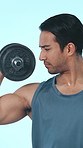 Fitness, bicep and man with weights in studio for bodybuilder, exercise and training. Health, strong and person with dumbbells for weightlifting, workout challenge and strength on blue background
