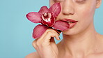 Beauty, bite and orchid with mouth of woman in studio for cosmetics or dermatology. Flower, natural and vegan skincare with model person isolated on blue background for satisfaction or sustainability