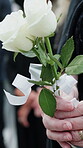 Woman, hand and rose in cemetery with funeral, mourning family and burial ceremony for final goodbye. Person, flower and death in graveyard outdoor with memorial service, gathering and bereavement.