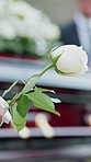 Flower, funeral and hands of person by casket at graveyard for remembrance, mourning or grief service. White rose, memorial and support at cemetery for burial ceremony for loss, sympathy or respect