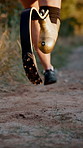 Runner, path and speed with prosthetic leg for mobility, physical training or rehabilitation. Closeup, foot and person with a disability for outdoor cardio exercise, workout or fitness in nature