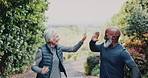 Fitness, running and senior couple with high five in nature for exercise, training or wellness in morning. Sports, celebration and elderly man with woman for cardio workout, active or challenge.